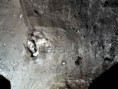 /album/fotogaleria-archeologicke-nalezisko-panske-pozemky1/vh0025-jpg/