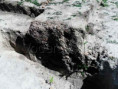 /album/fotogaleria-archeologicke-nalezisko-panske-pozemky1/vh0029-jpg1/